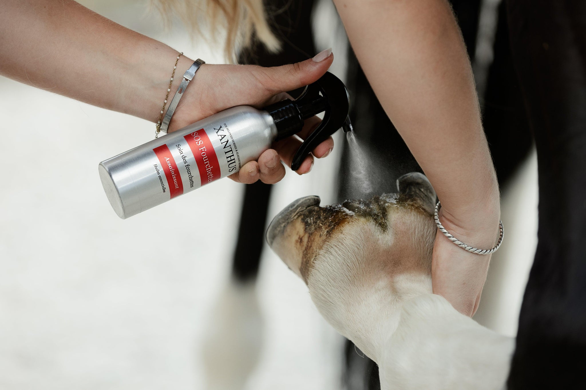 Fourchettes pourries chez le cheval en hiver : causes, risques et solutions avec la gamme Xanthus Horsecare