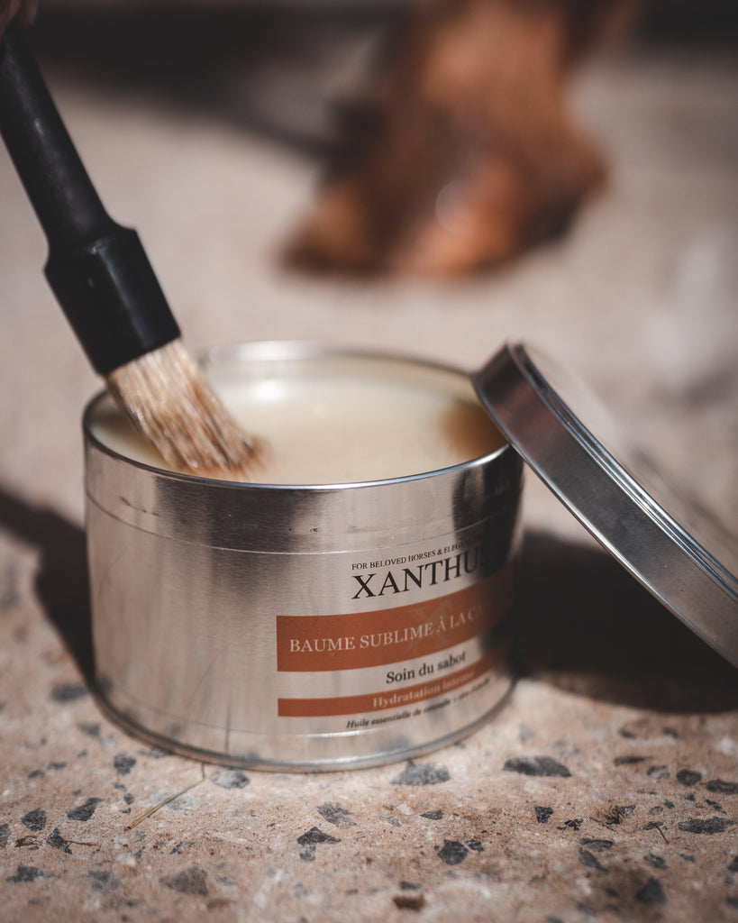 Baume Sublime à la Cannelle - Xanthus