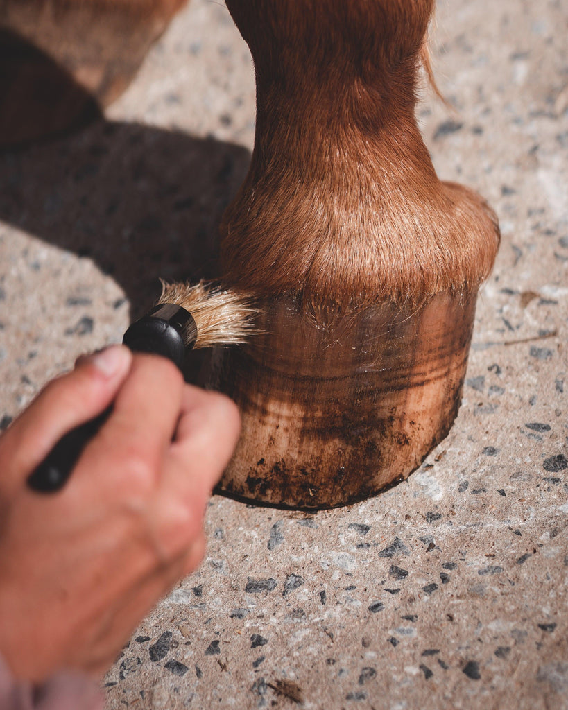 Baume Sublime à la Cannelle - Xanthus
