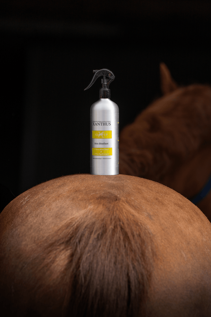 Démêlant Glow Up au Monoï - Xanthus