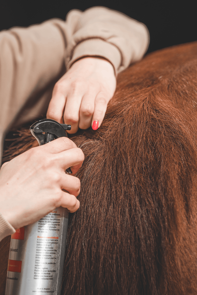 Spray SOS Dermite - Xanthus - Application crin