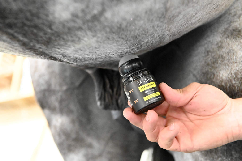 roll on emouchine cheval ete mouches efficace