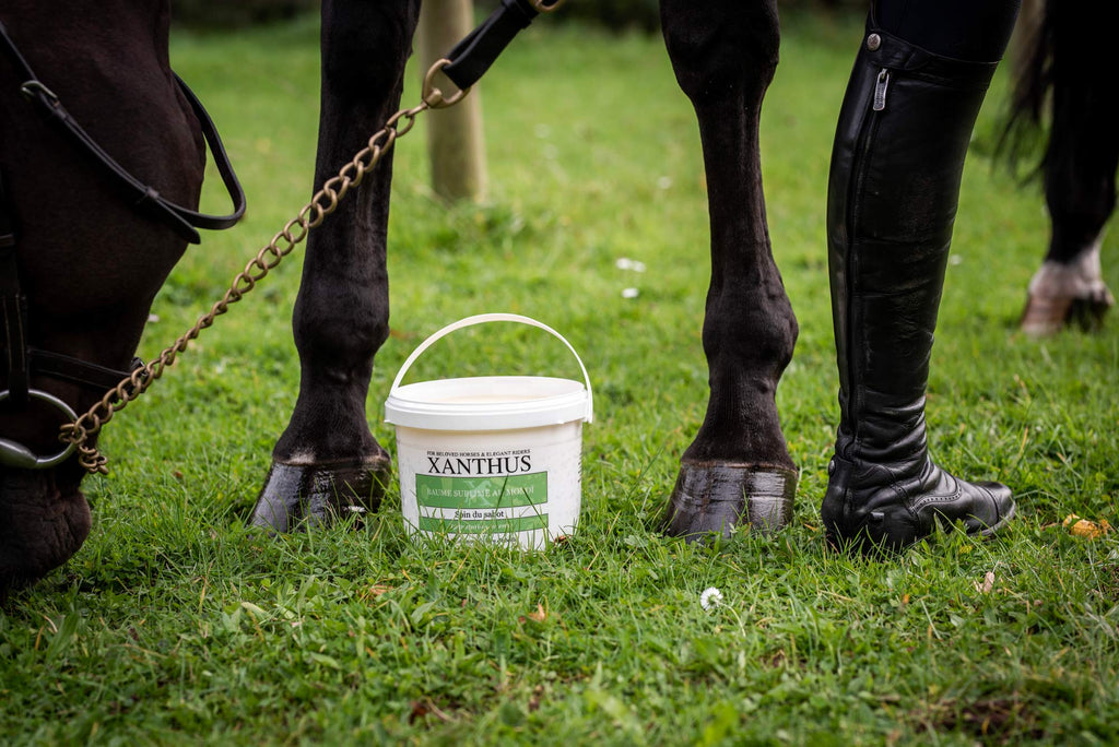 onguent sabot naturel huiles