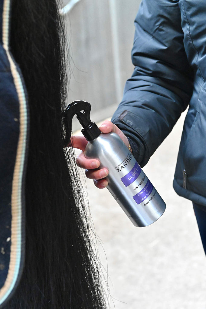 horse grooming care cheval 