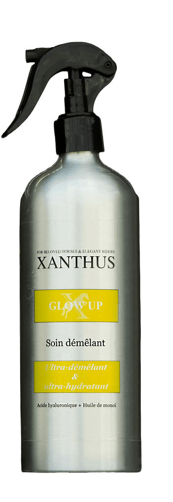Démêlant Glow Up au Monoï - Xanthus