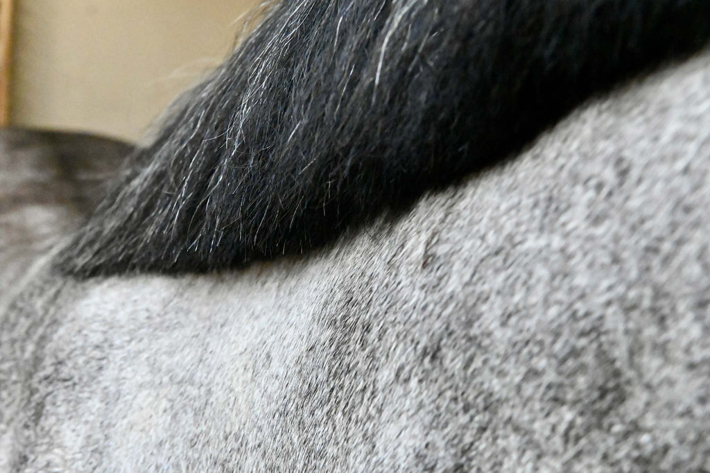 criniere soins chevaux crins 