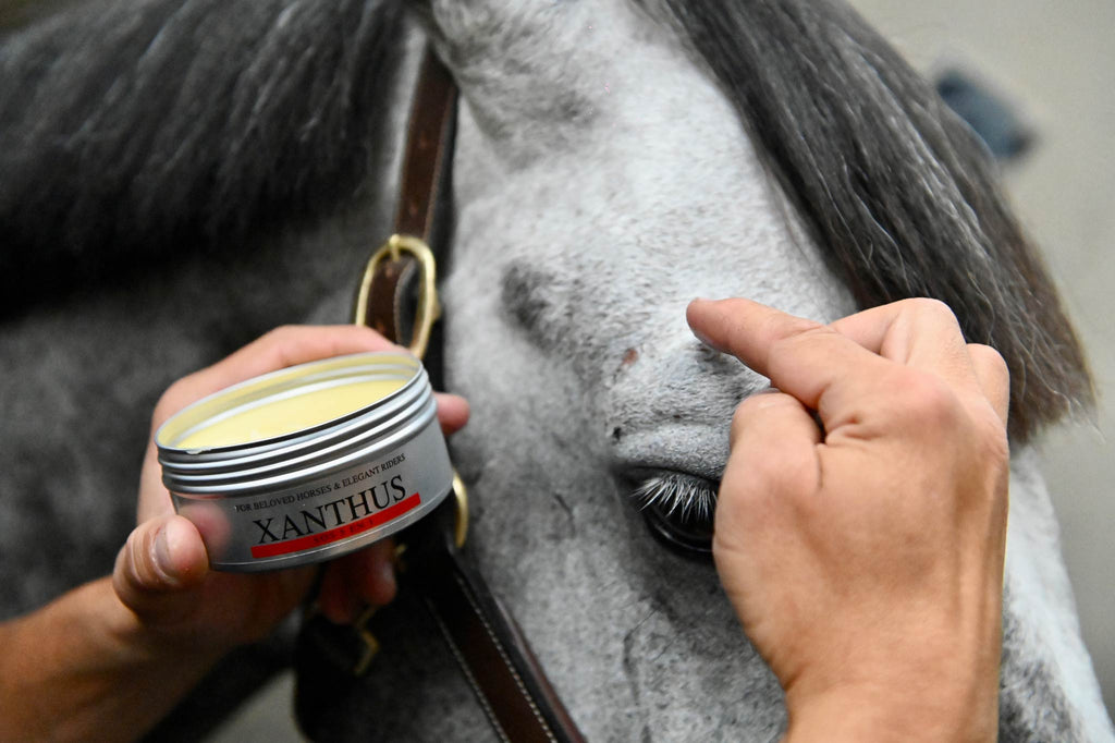 creme reparatrice 5 en 1 cheval plaies