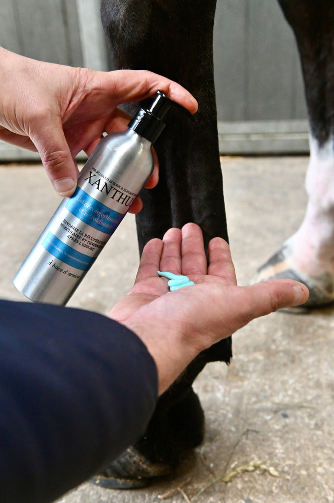 gel tendons refroidissant naturel xanthus