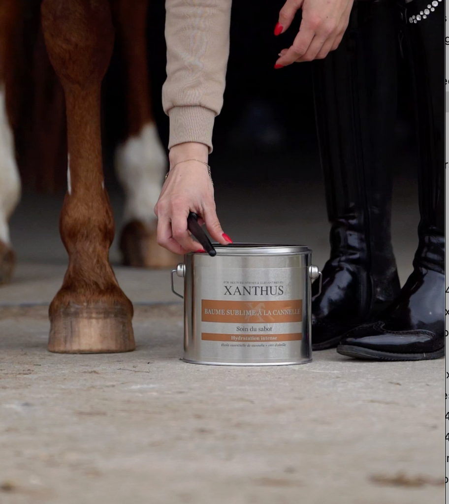onguent naturel sabots sains cannelle
