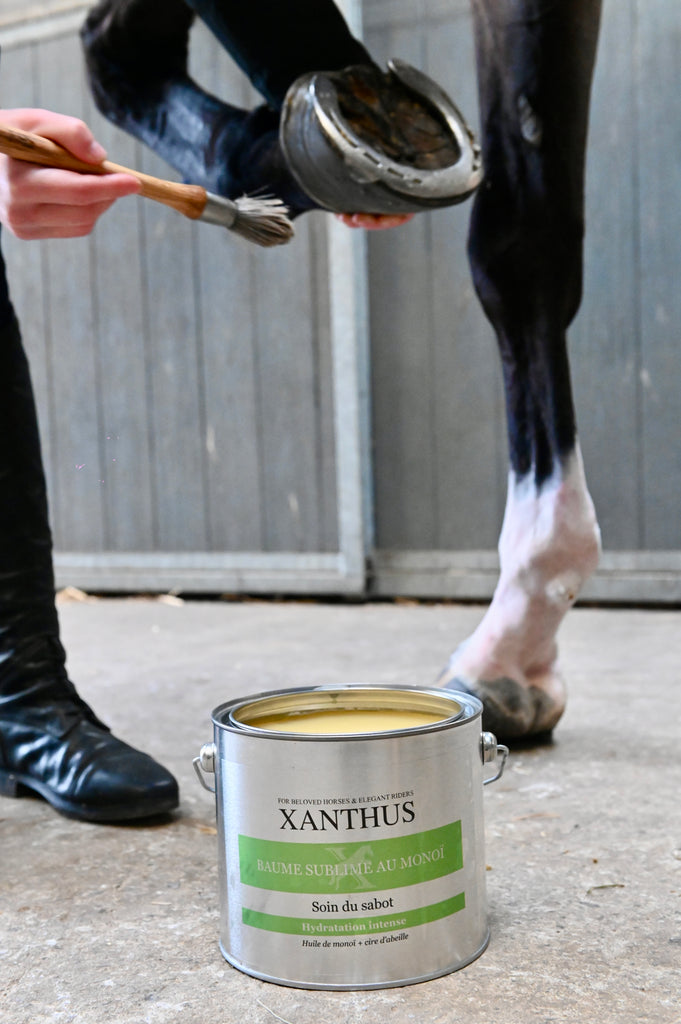 graisse sabot monoi xanthus