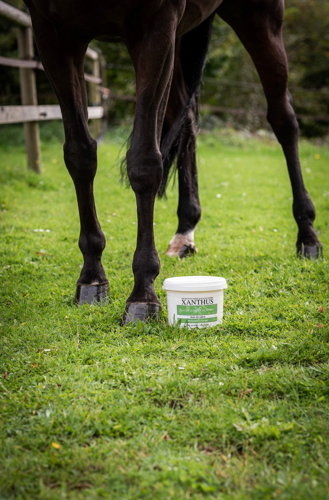 soins pour sabots naturel monoi