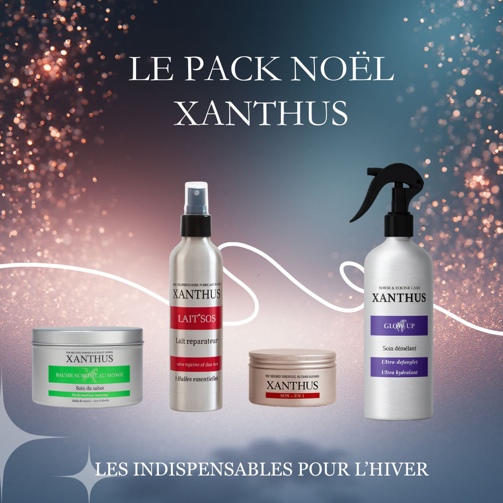 Pack Noël Xanthus
