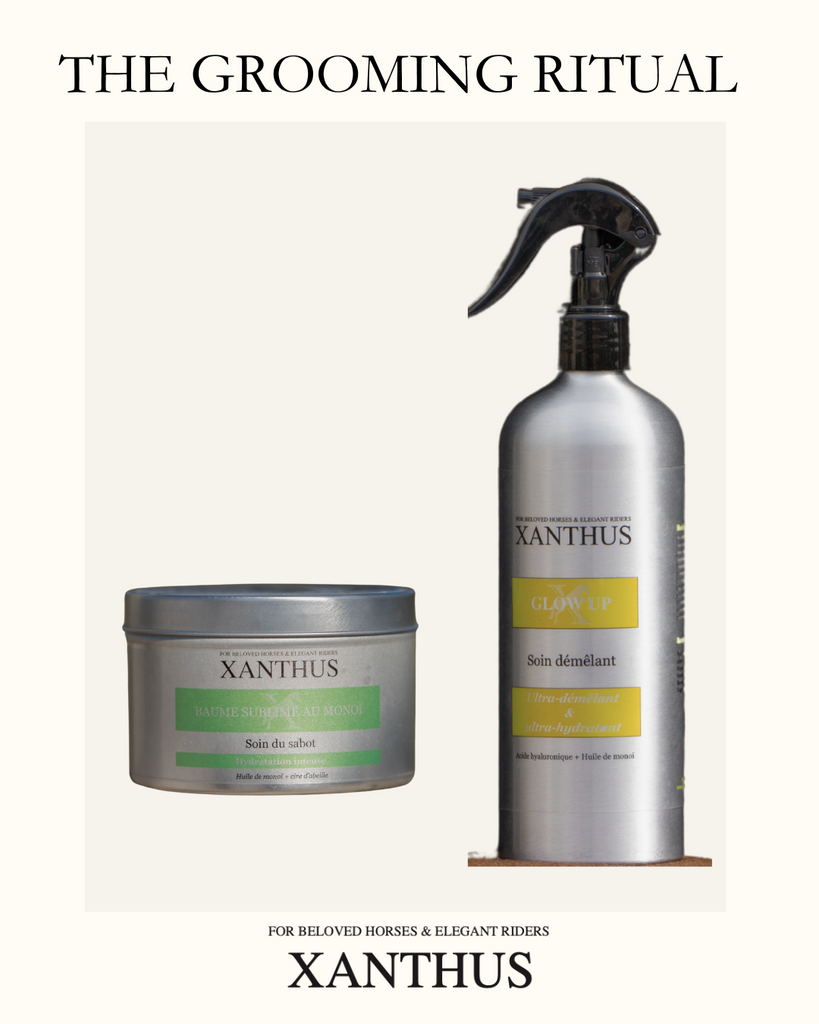 soins dermite chevaux grooming 