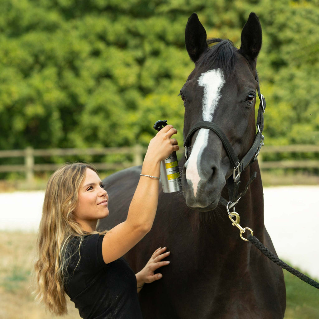 grooming chevaux qualite 
