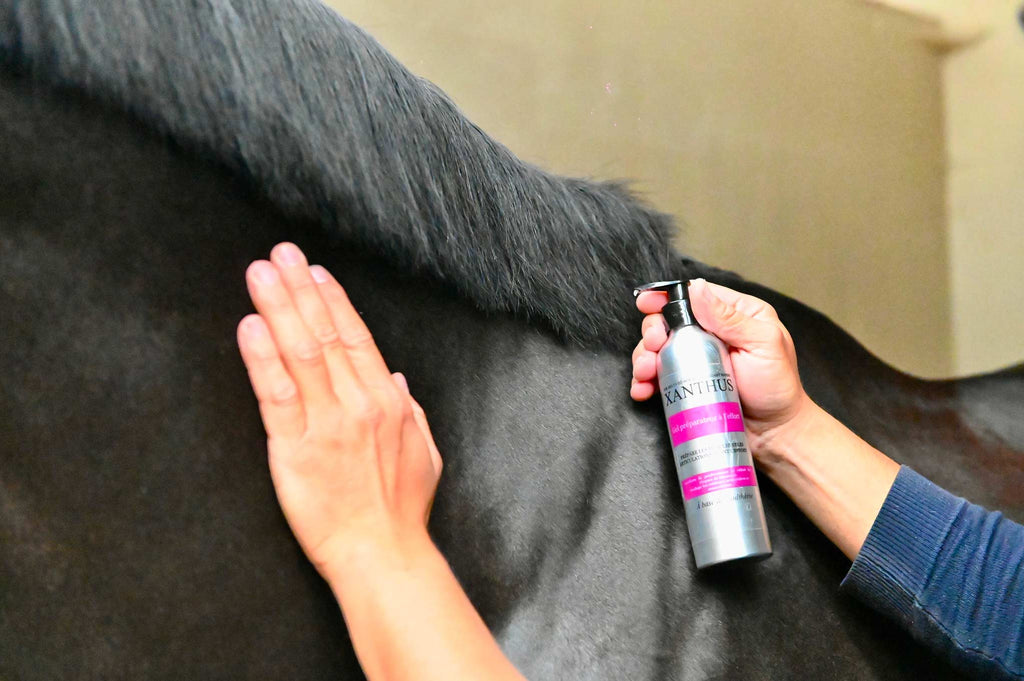 gel preparation effort cheval de sport 
