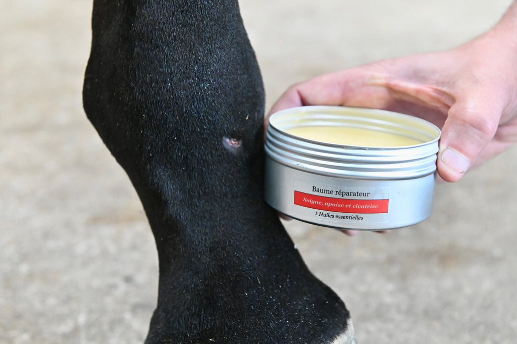 soin cicatrisant naturel chevaux 